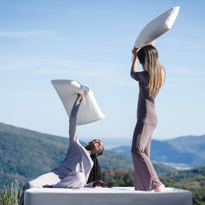 B-Sensible NaturZinc™ Pillow Protector
