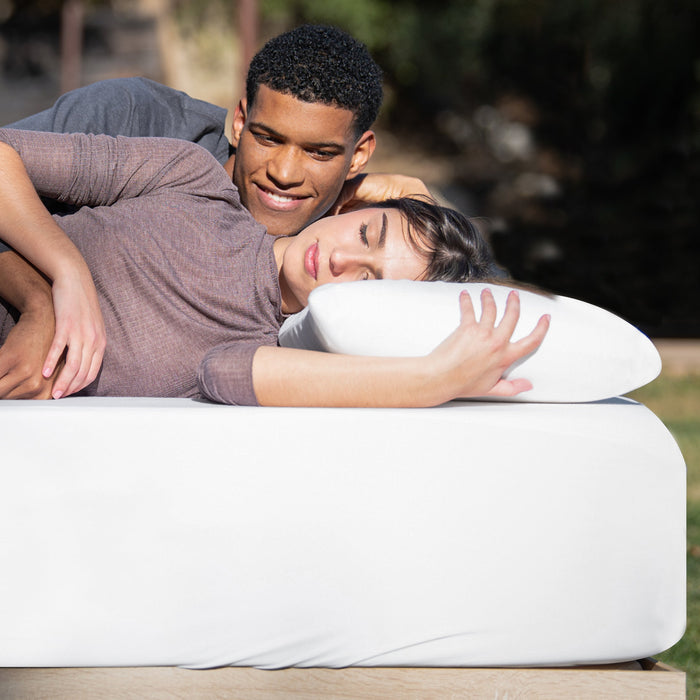 B-Sensible NaturZinc™ Pillow Protector