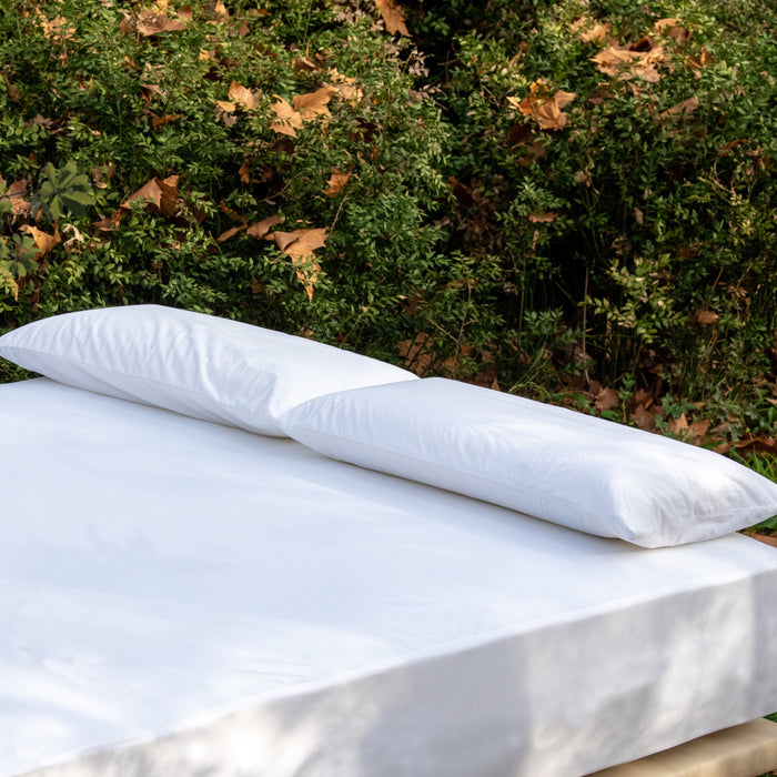 B-Sensible NaturZinc™ Pillow Protector