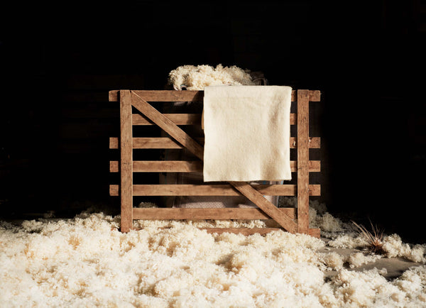 Wool macro